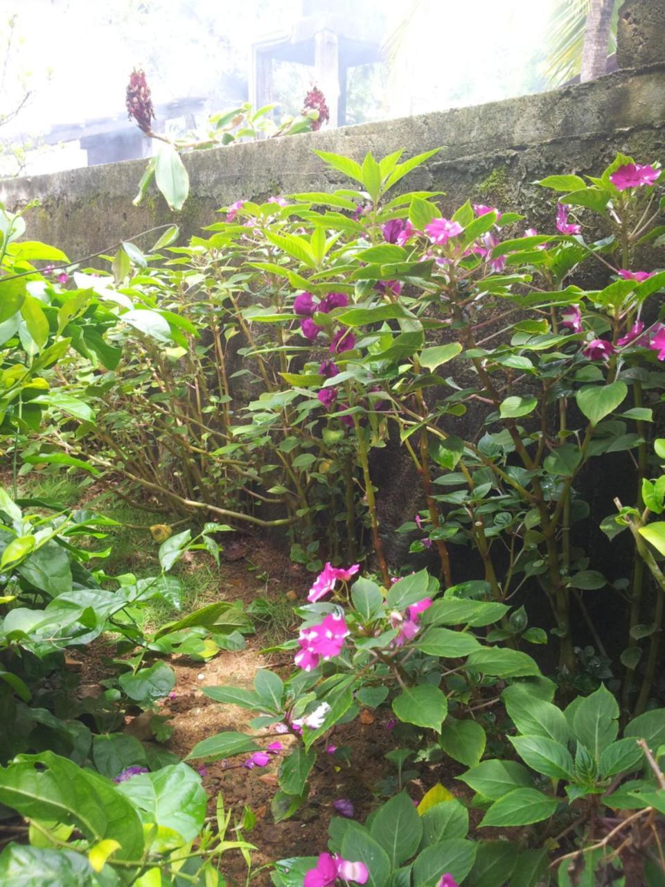 Ami Place Rooms With Kitchen Hikkaduwa Exterior photo